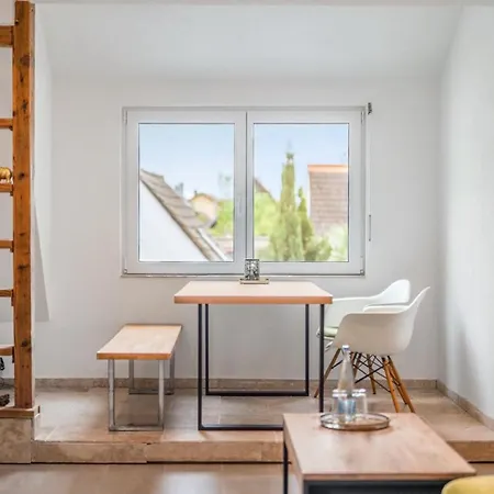 Modernes Loft Am Rebberg Im Historischen Winzerhof Appartement